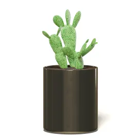 Cactusinmetalpot